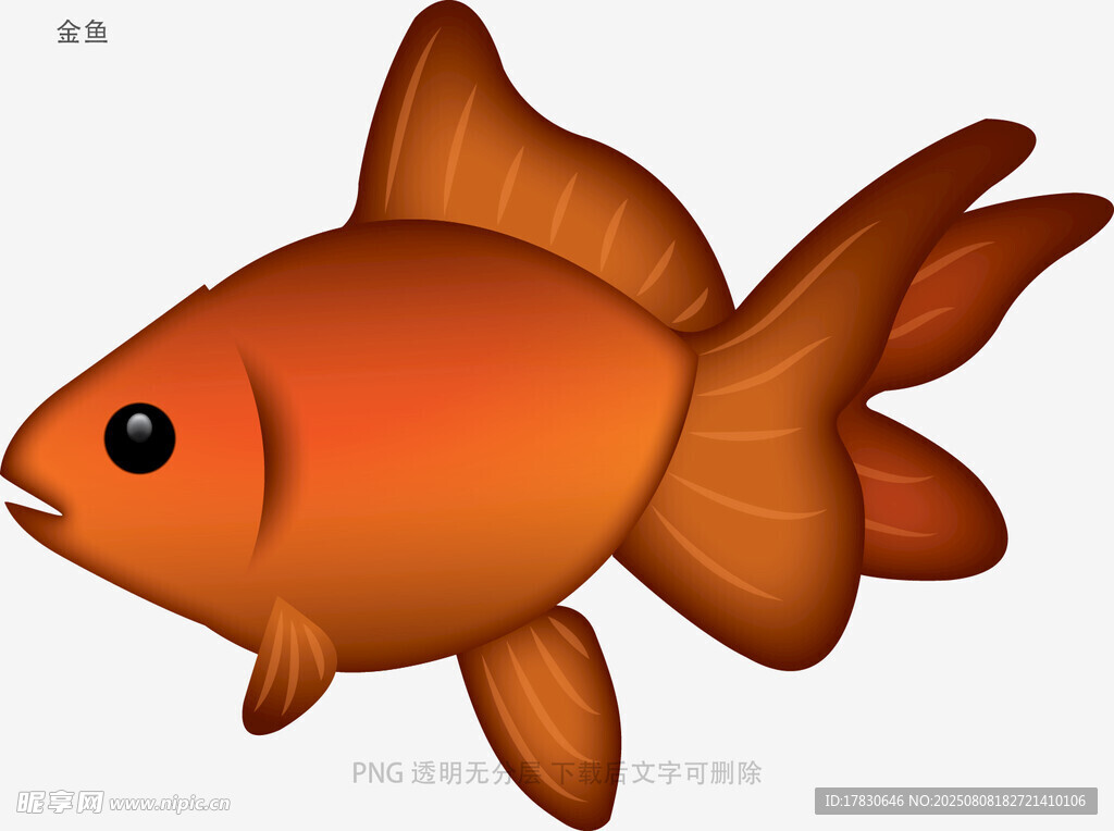 金鱼