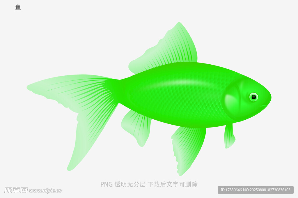 鱼