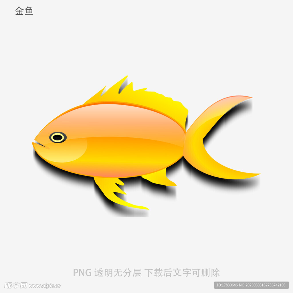 金鱼