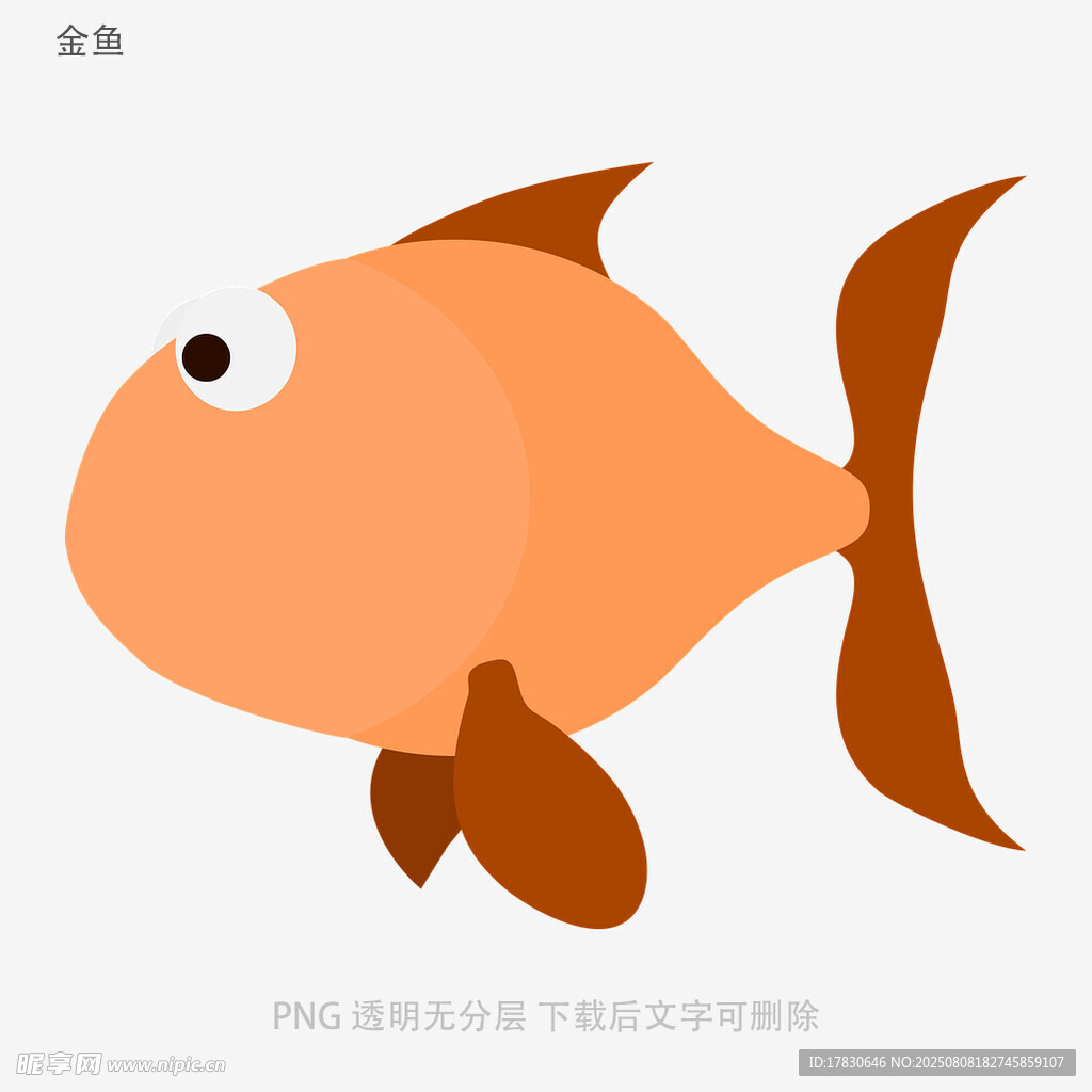 金鱼