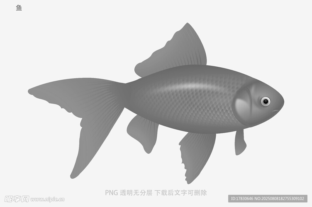 鱼