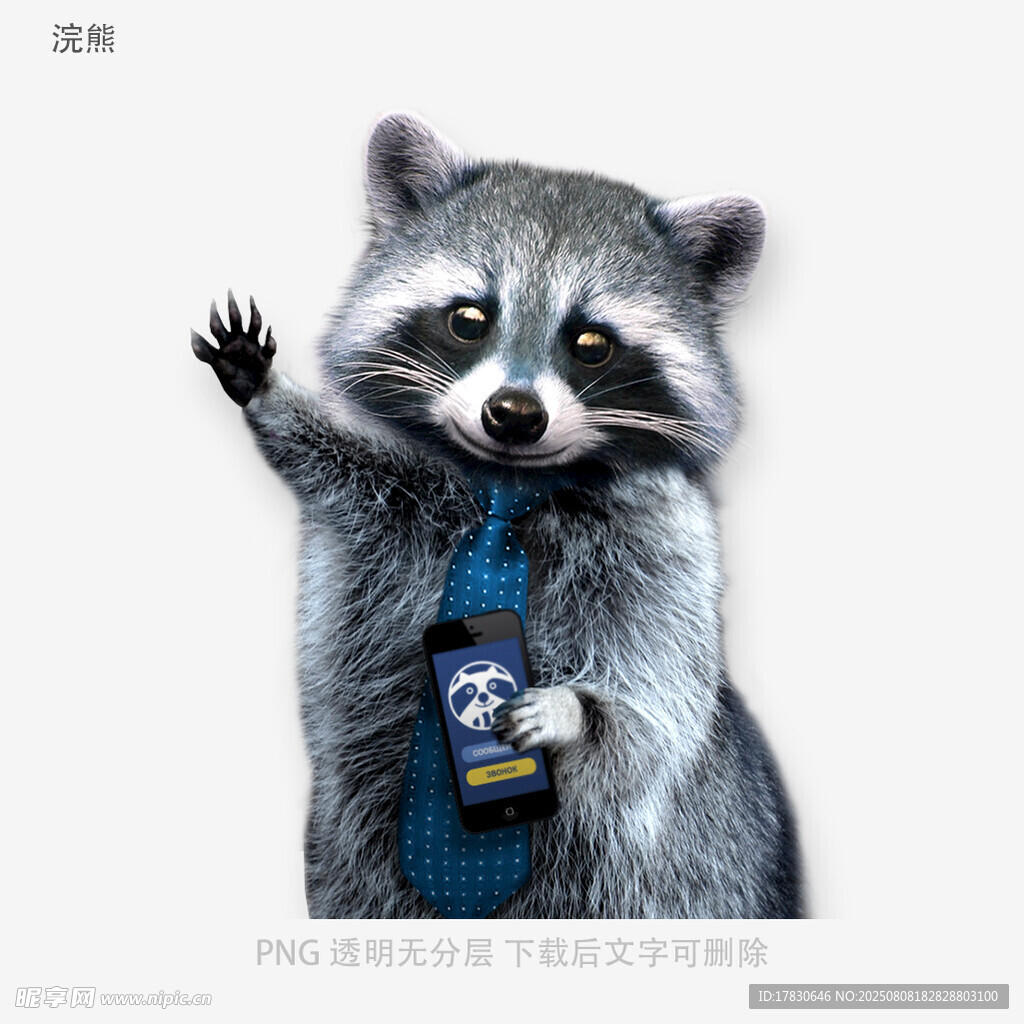 浣熊