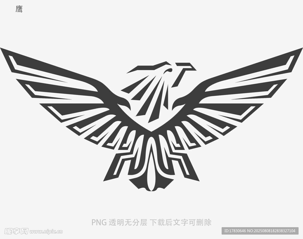鹰