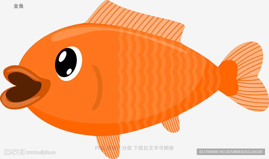金鱼