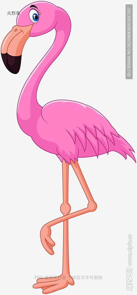 火烈鸟