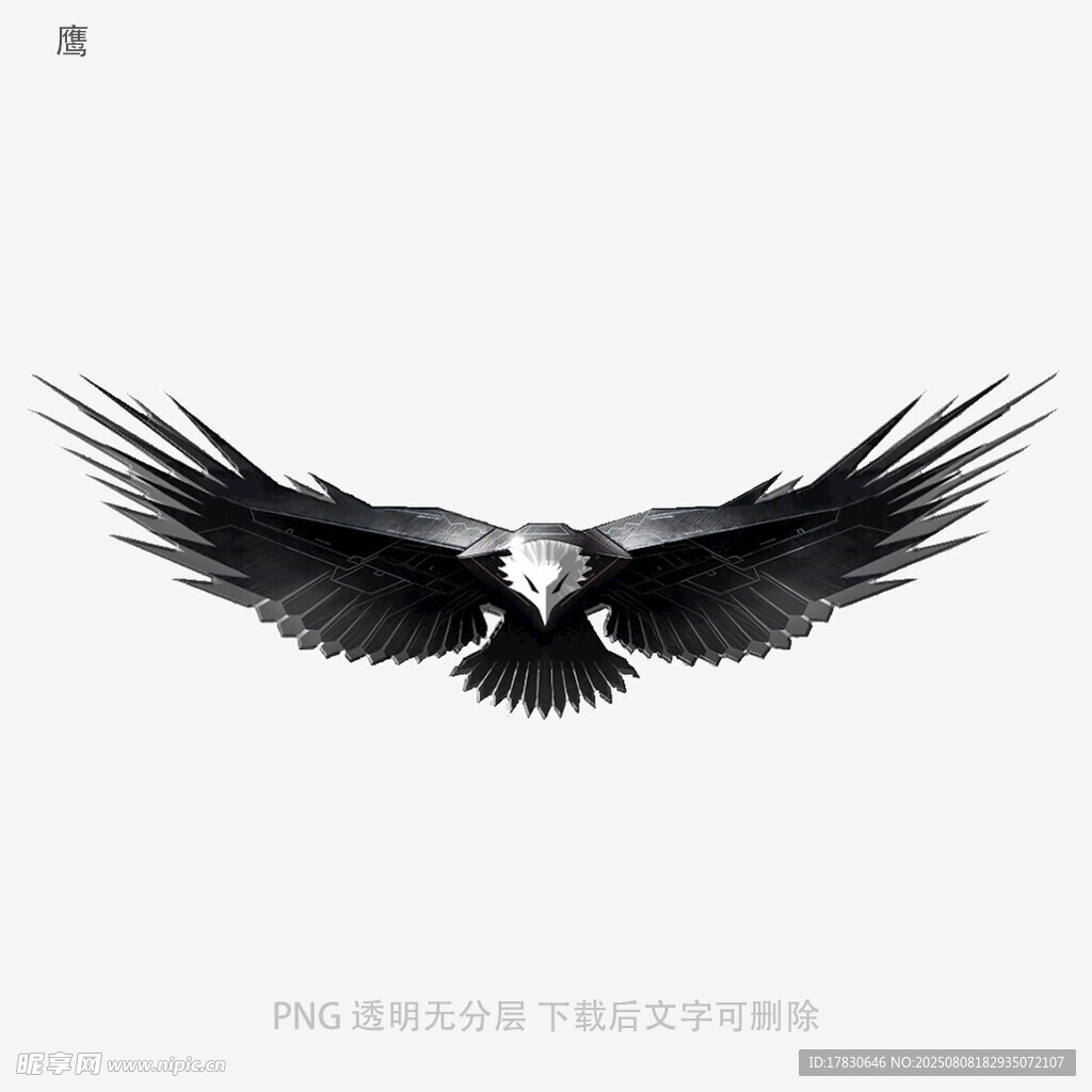 鹰