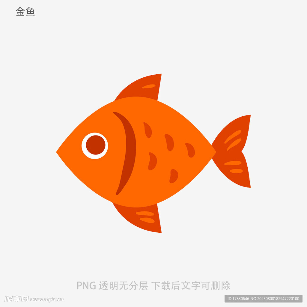 金鱼