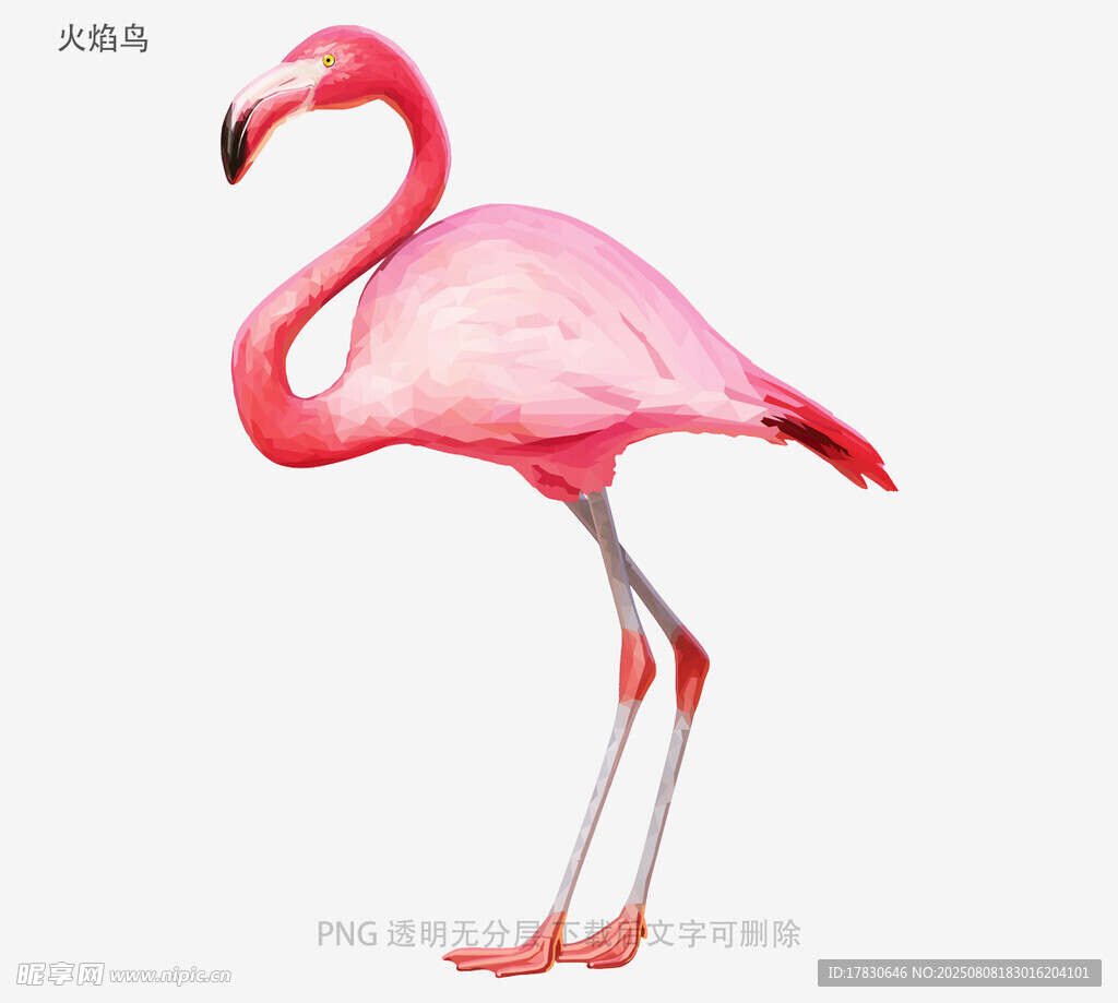 火焰鸟