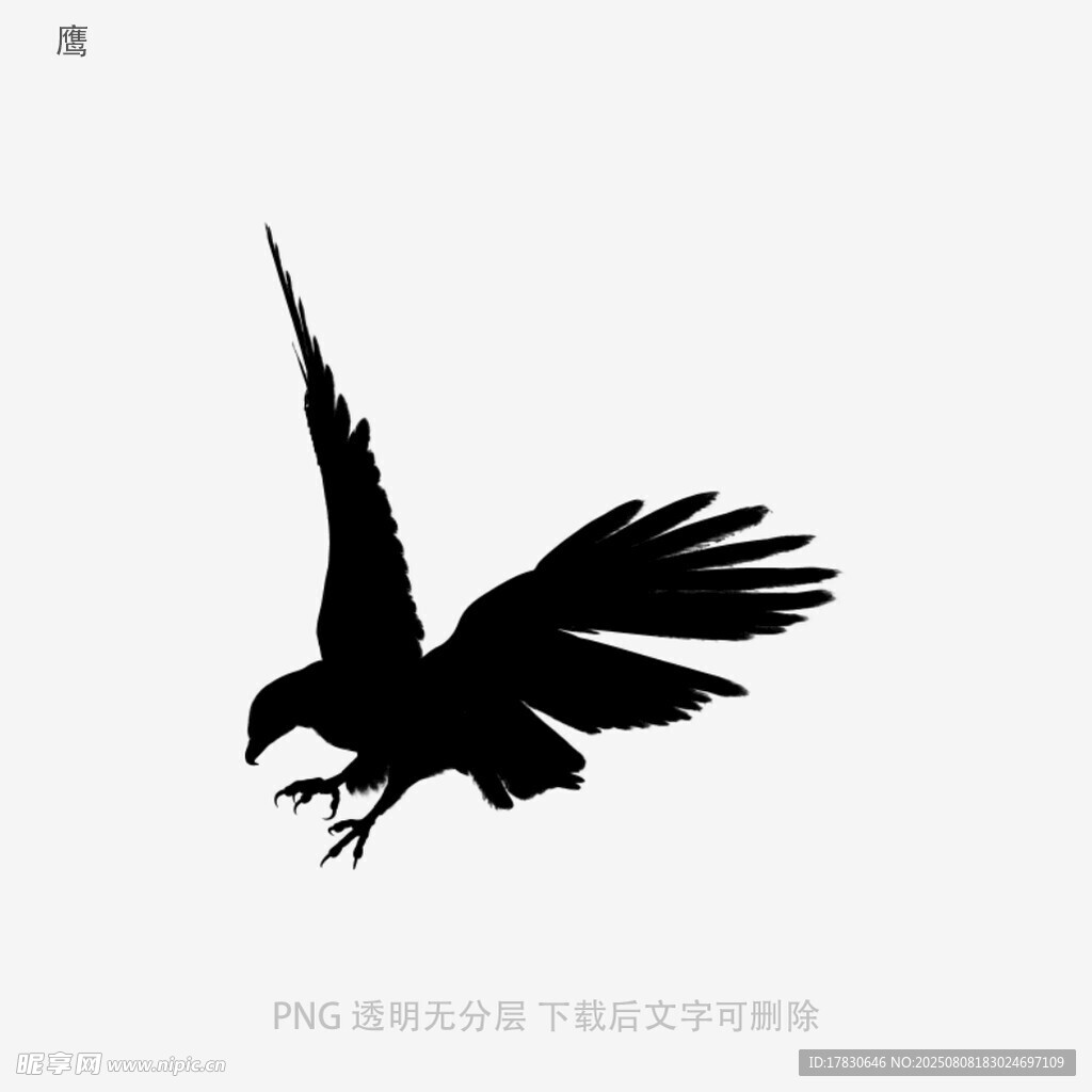 鹰