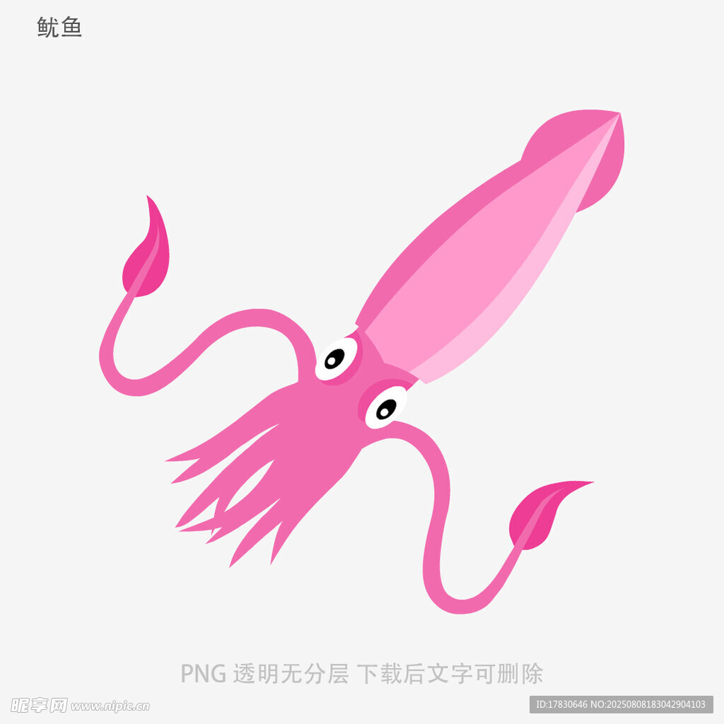 鱿鱼