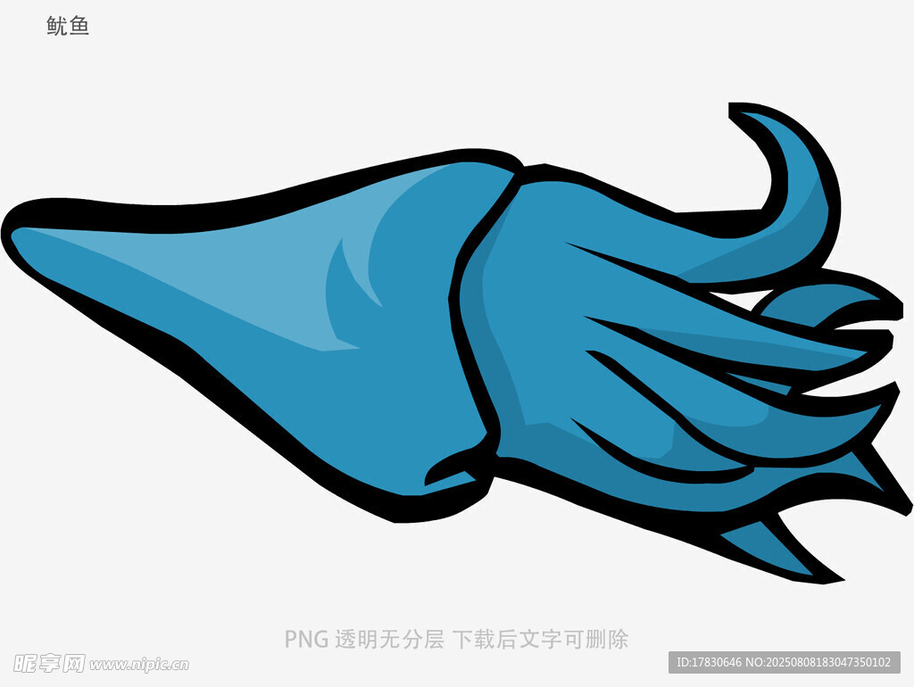 鱿鱼