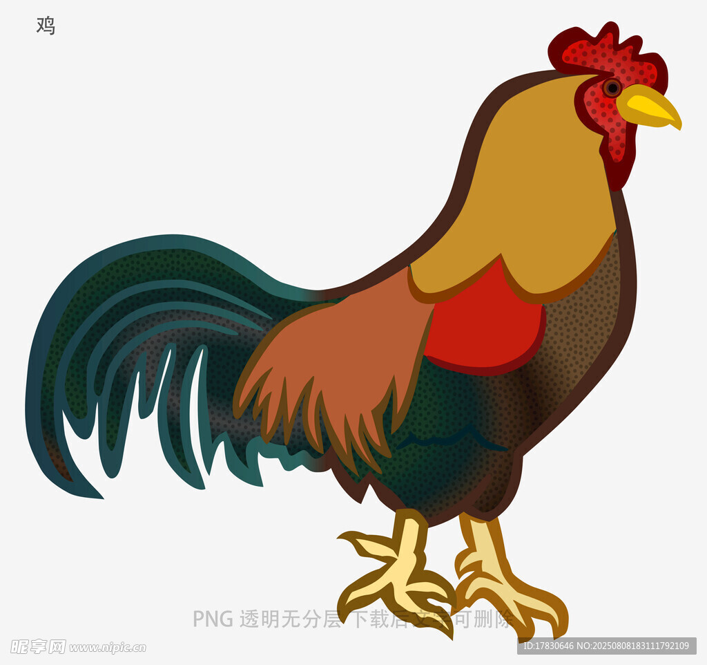 鸡