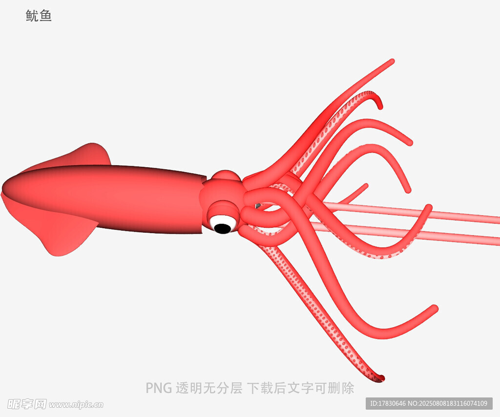 鱿鱼