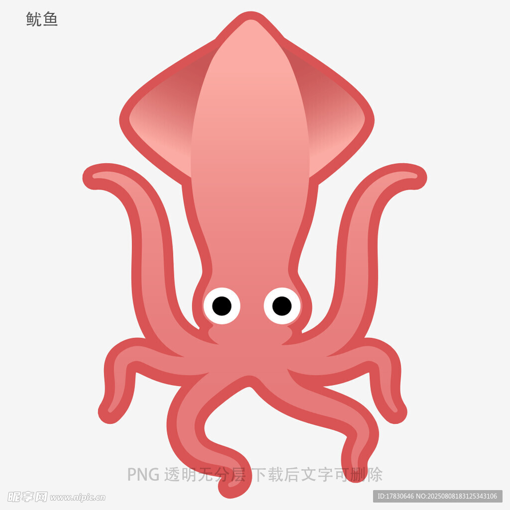 鱿鱼