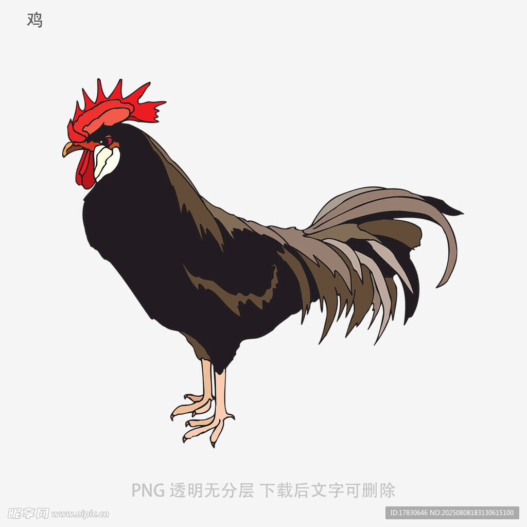 鸡
