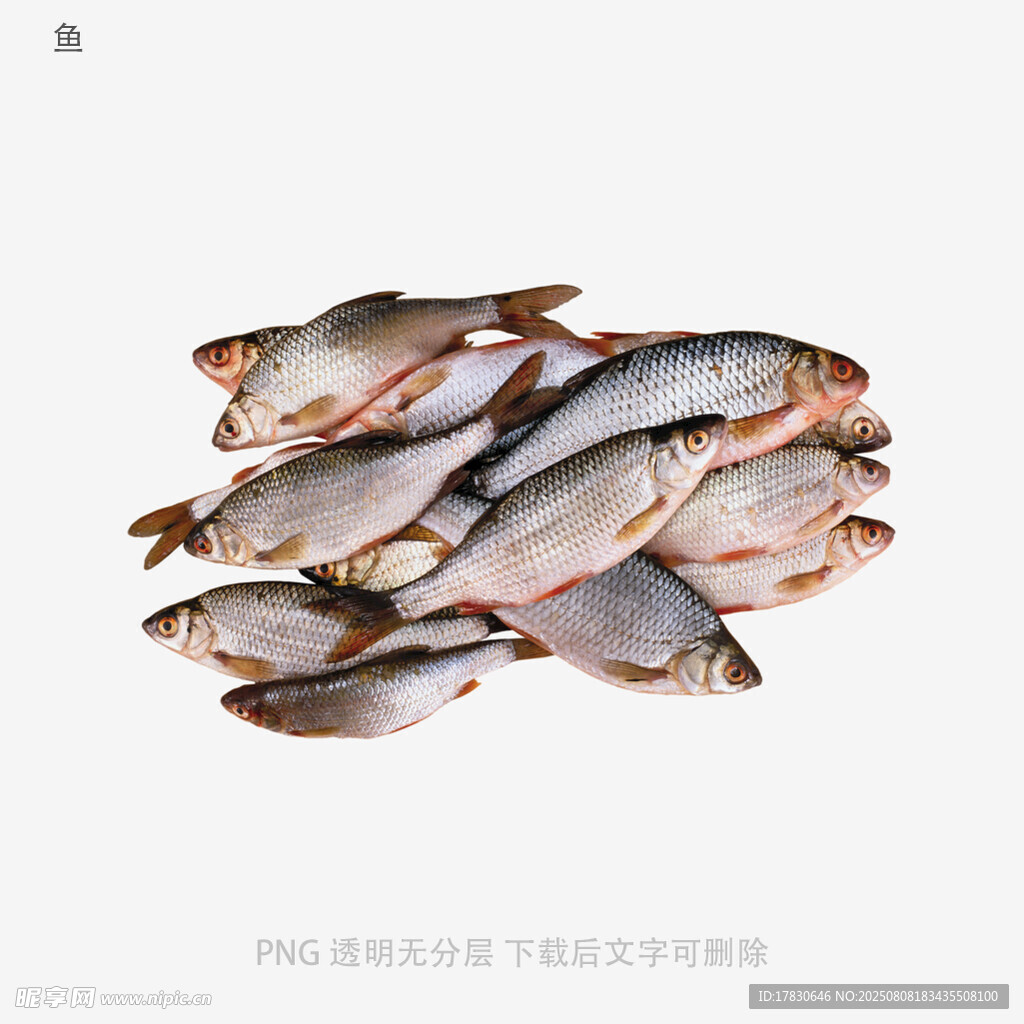 鱼
