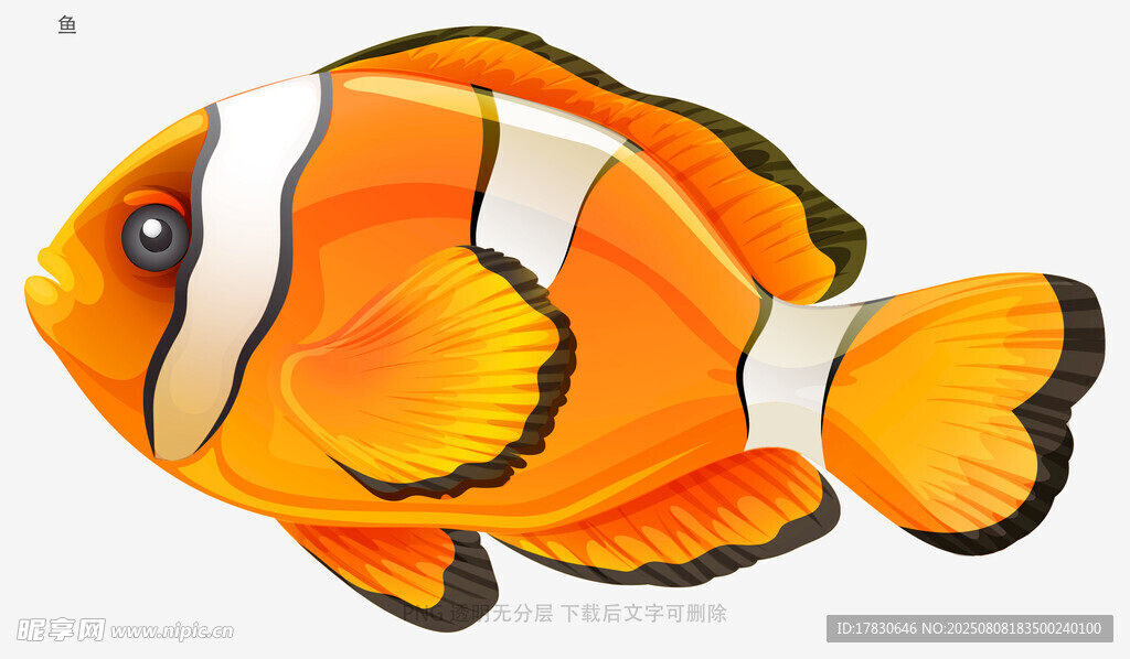 鱼