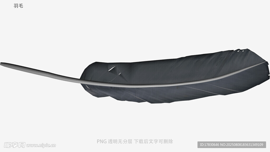 羽毛