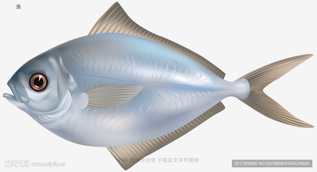 鱼