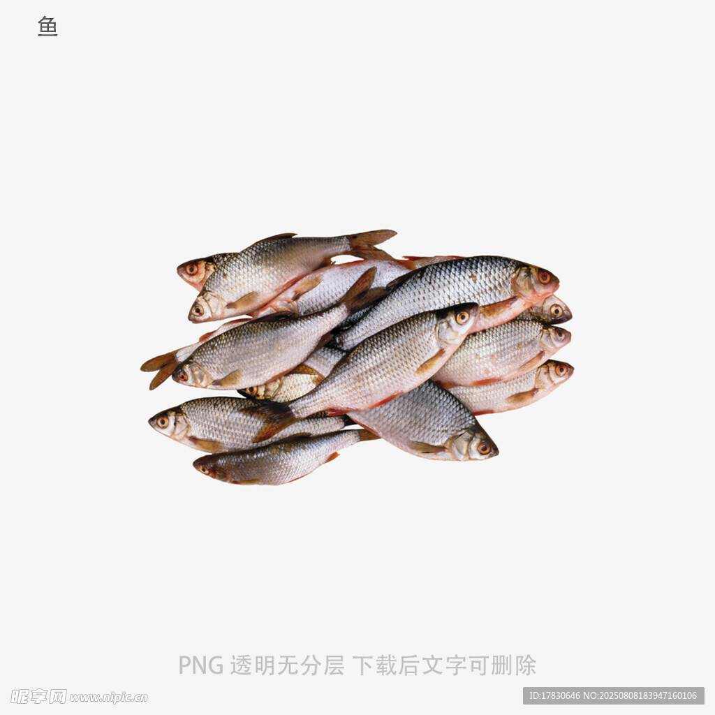 鱼