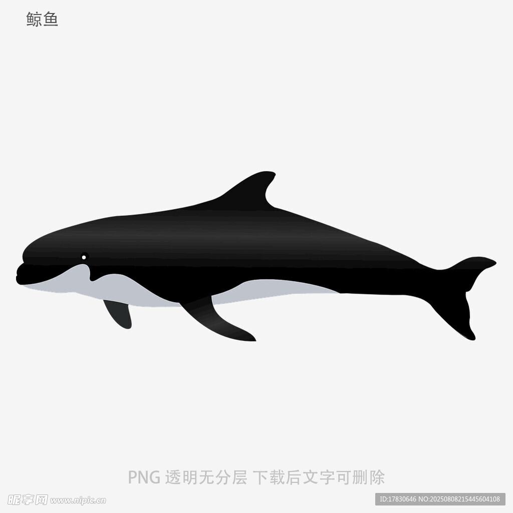 鲸鱼