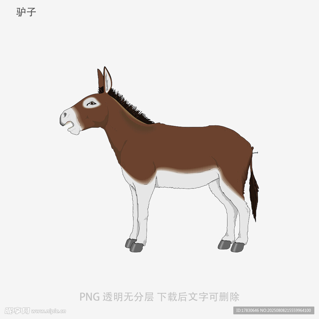 驴子
