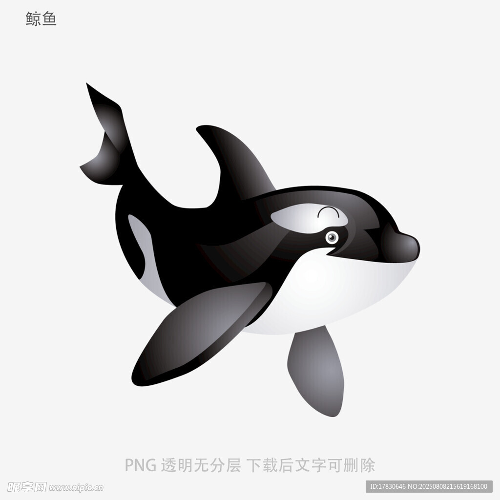 鲸鱼