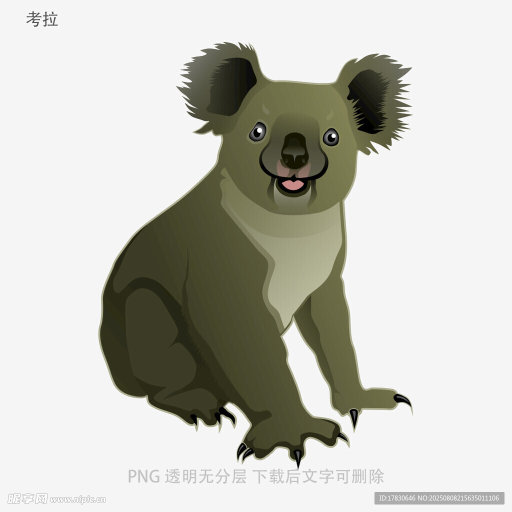 考拉