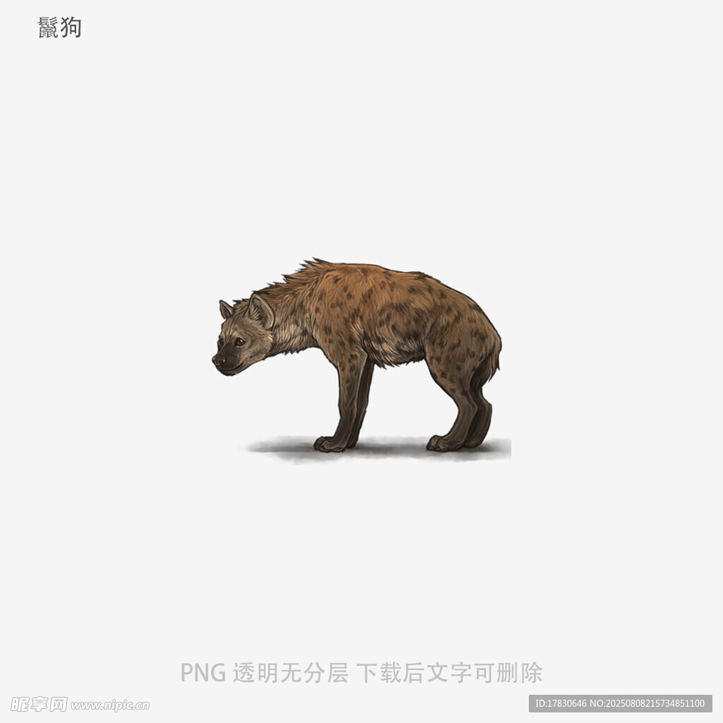 鬣狗