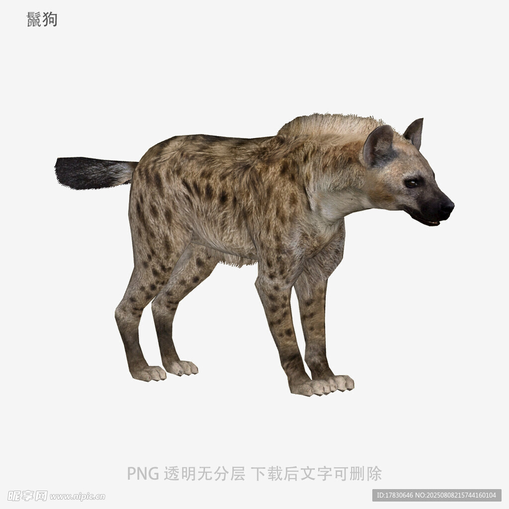 鬣狗