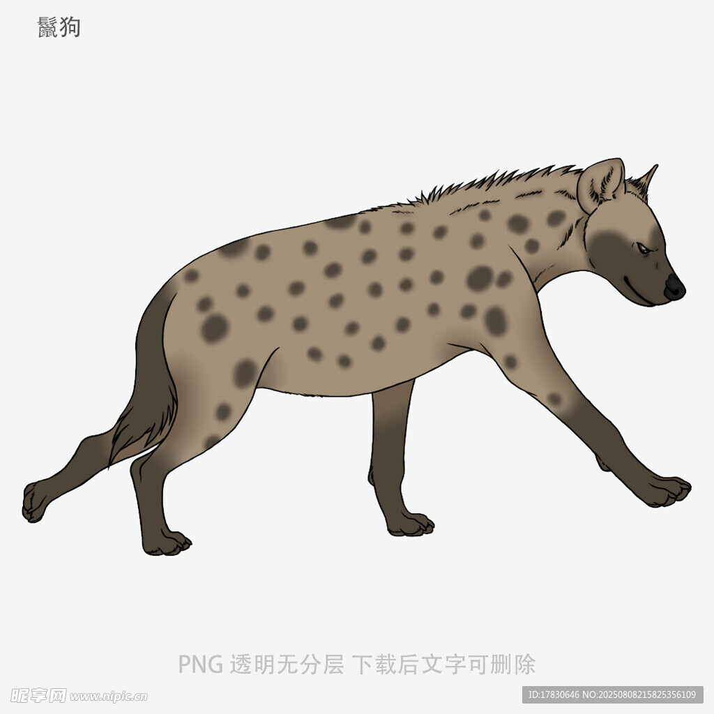 鬣狗