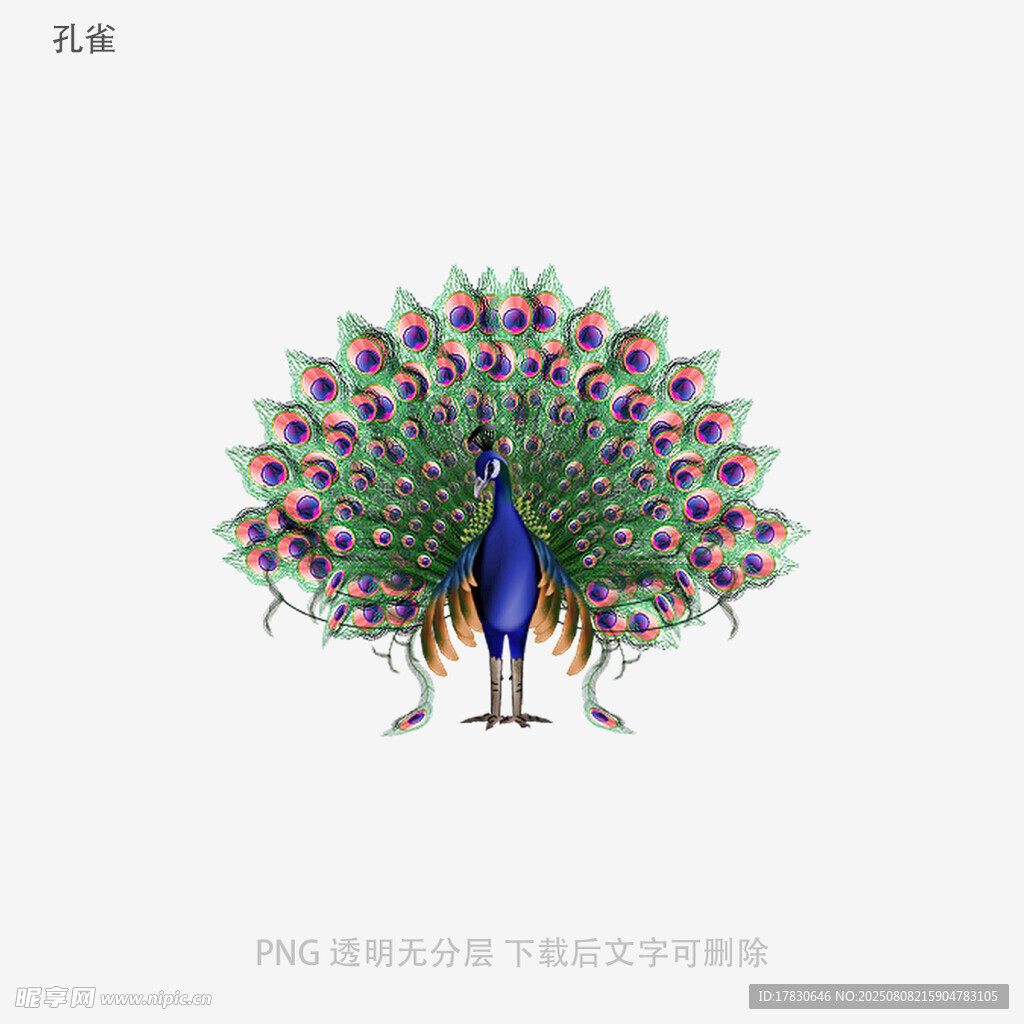孔雀