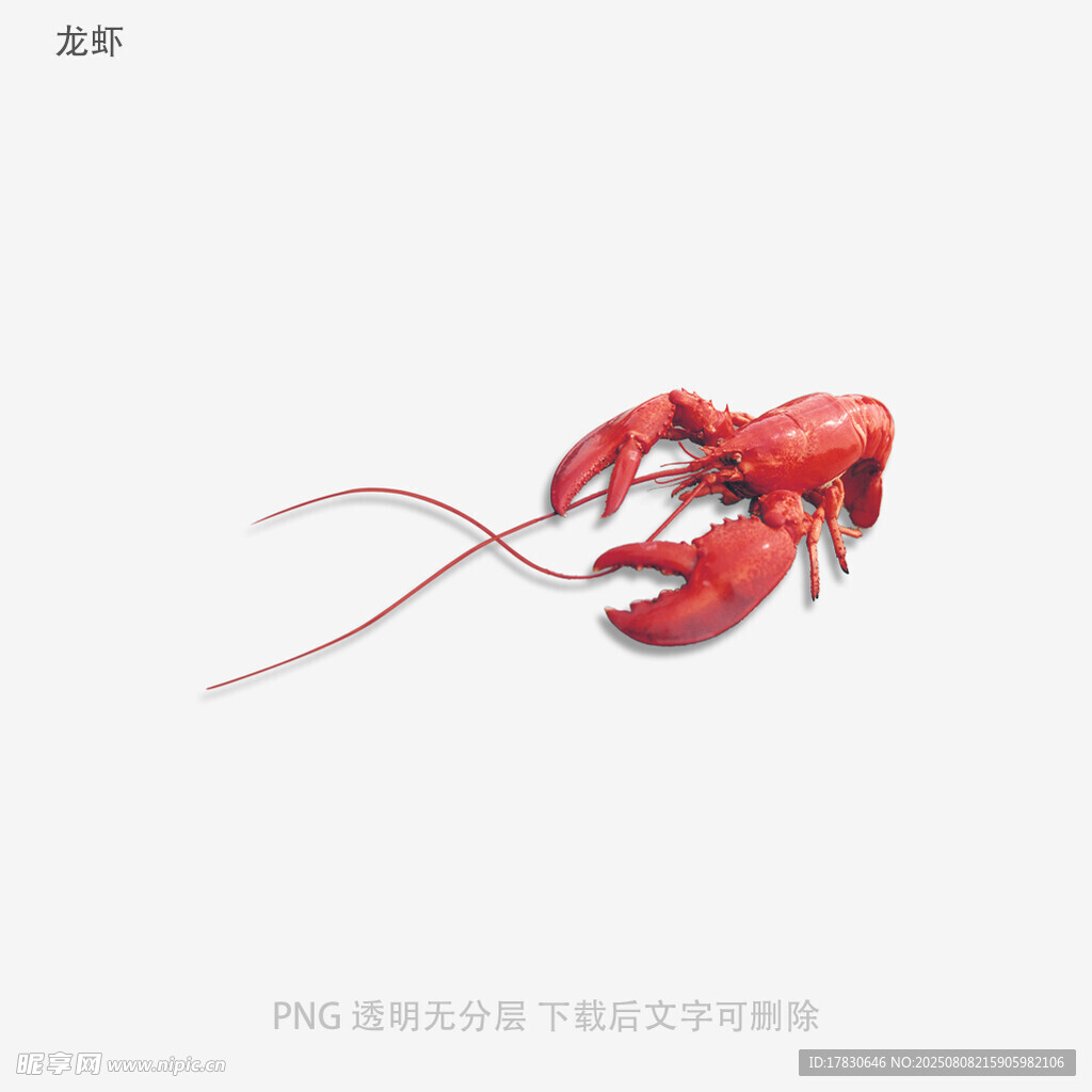 龙虾