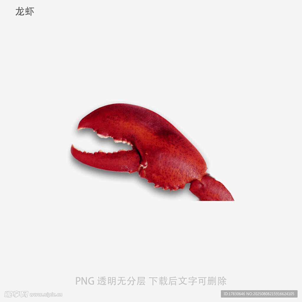 龙虾