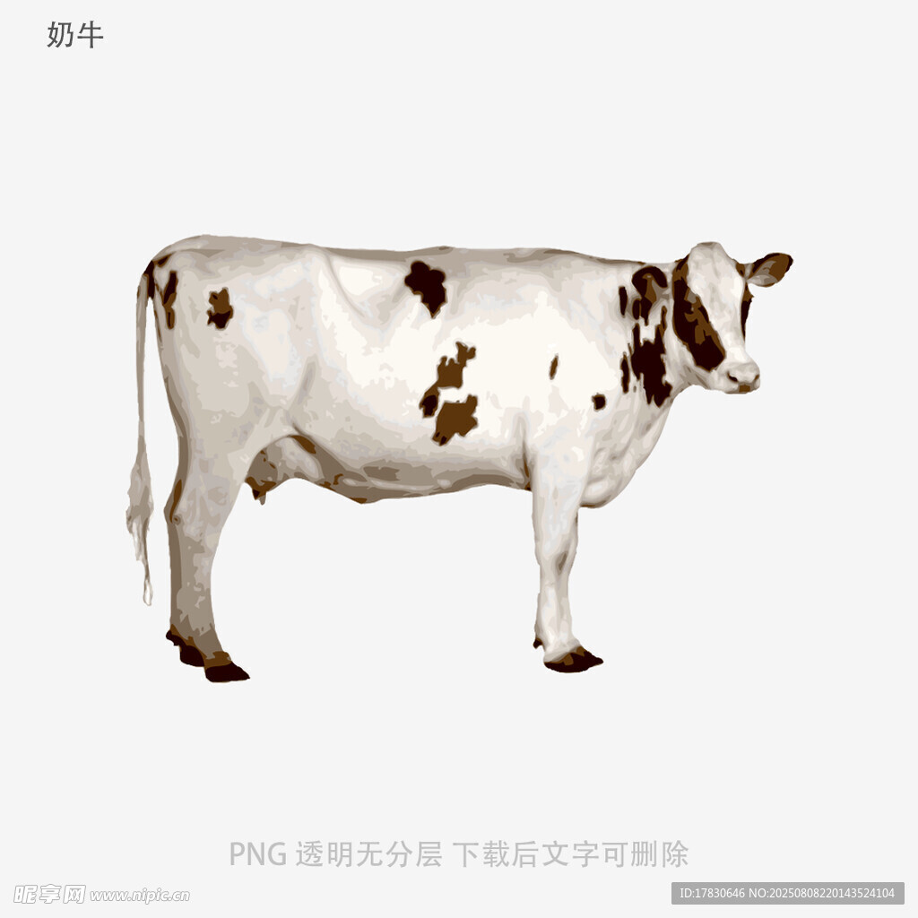 奶牛