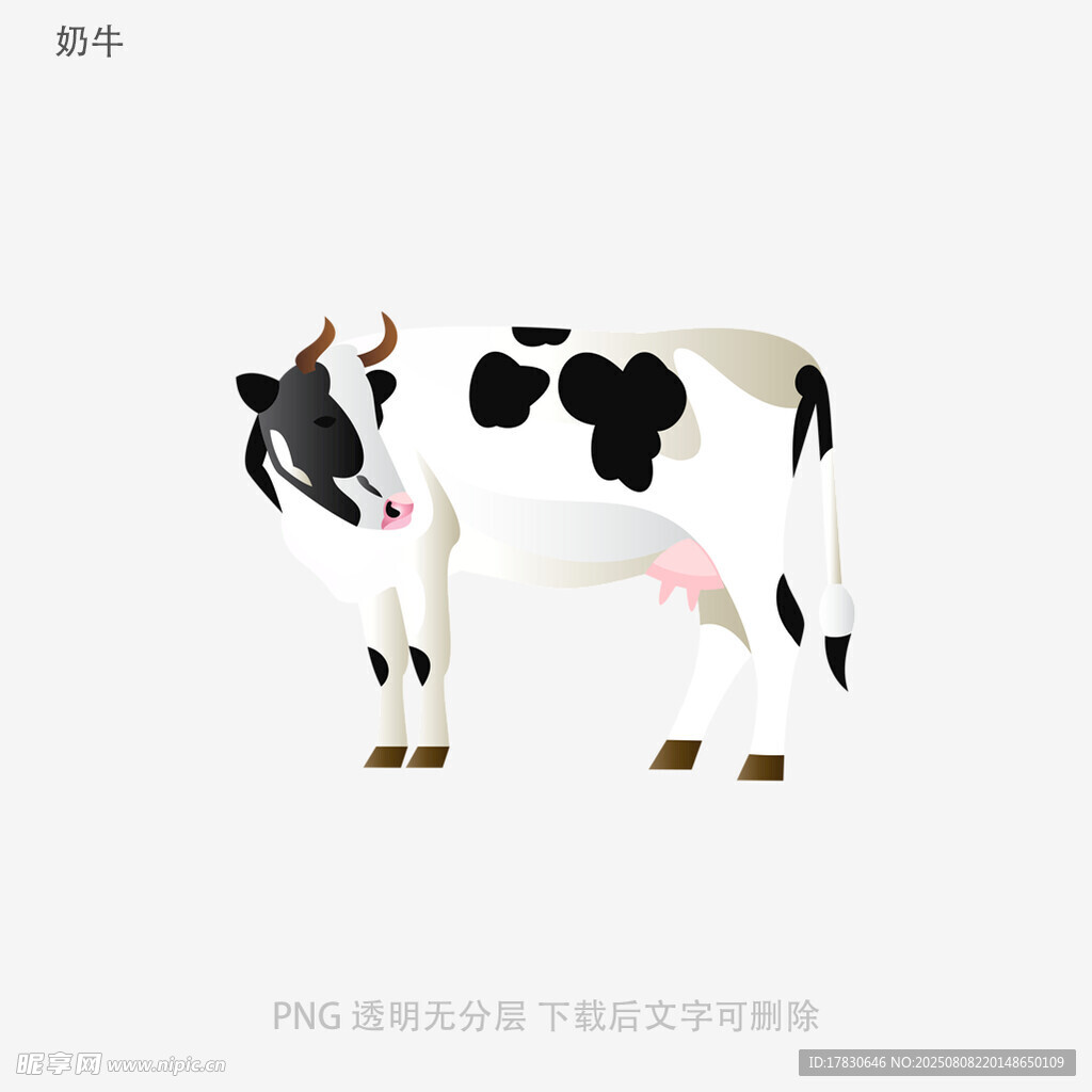 奶牛