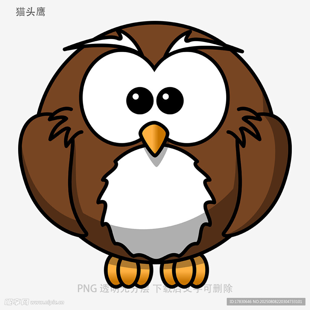 猫头鹰
