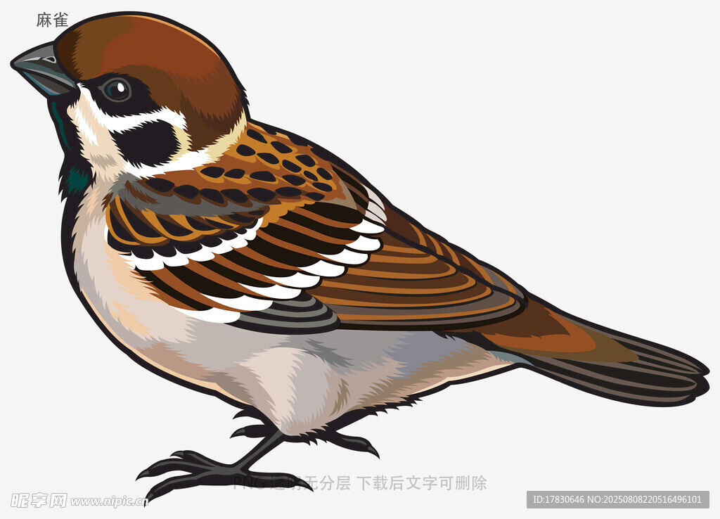 麻雀