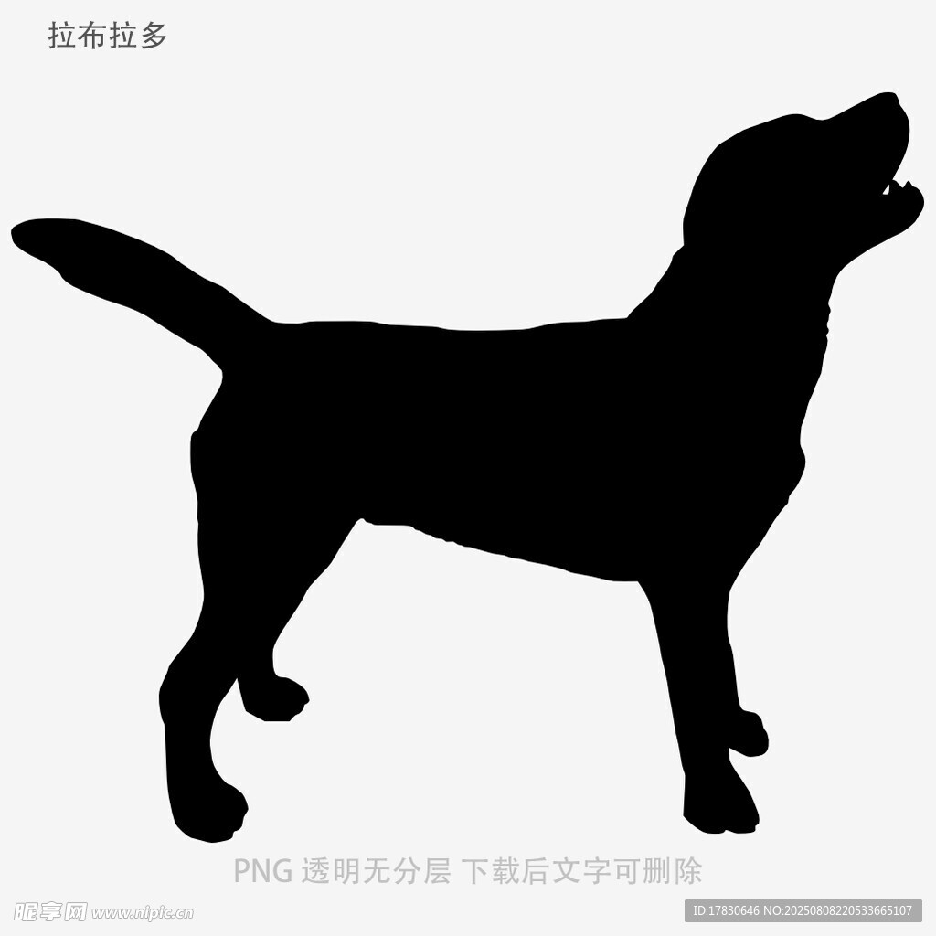 拉布拉多