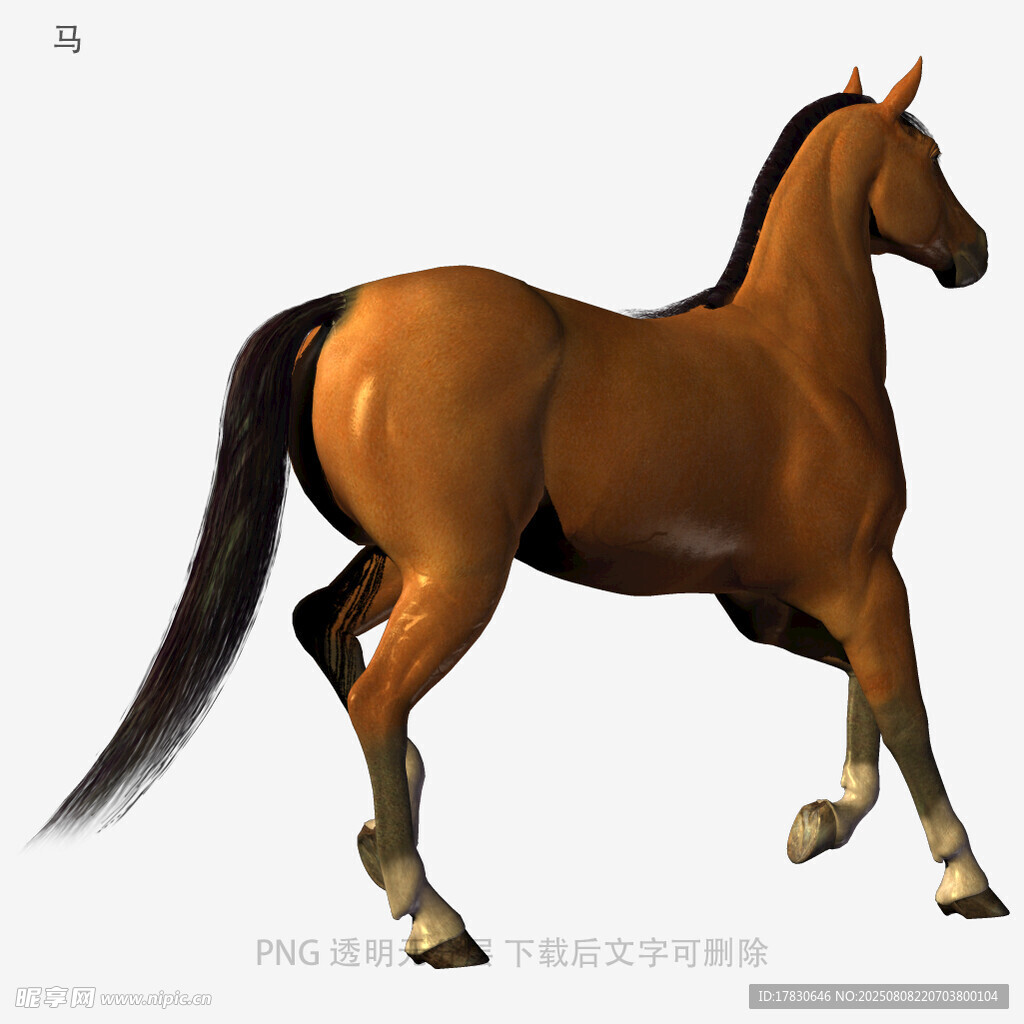 马
