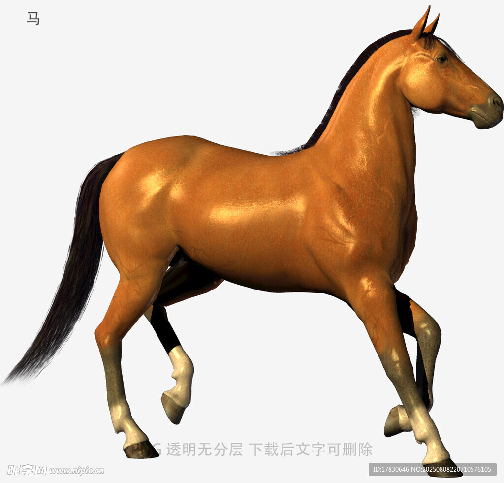 马