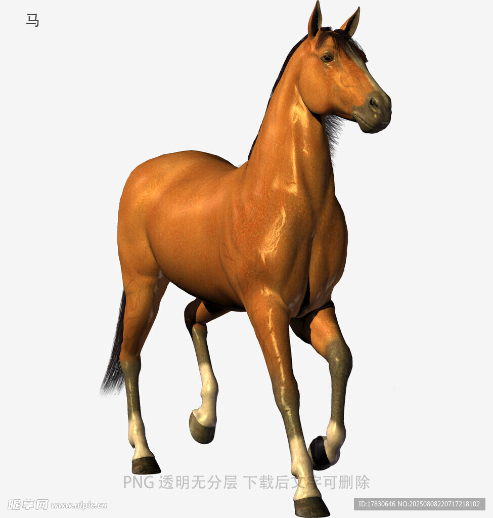 马