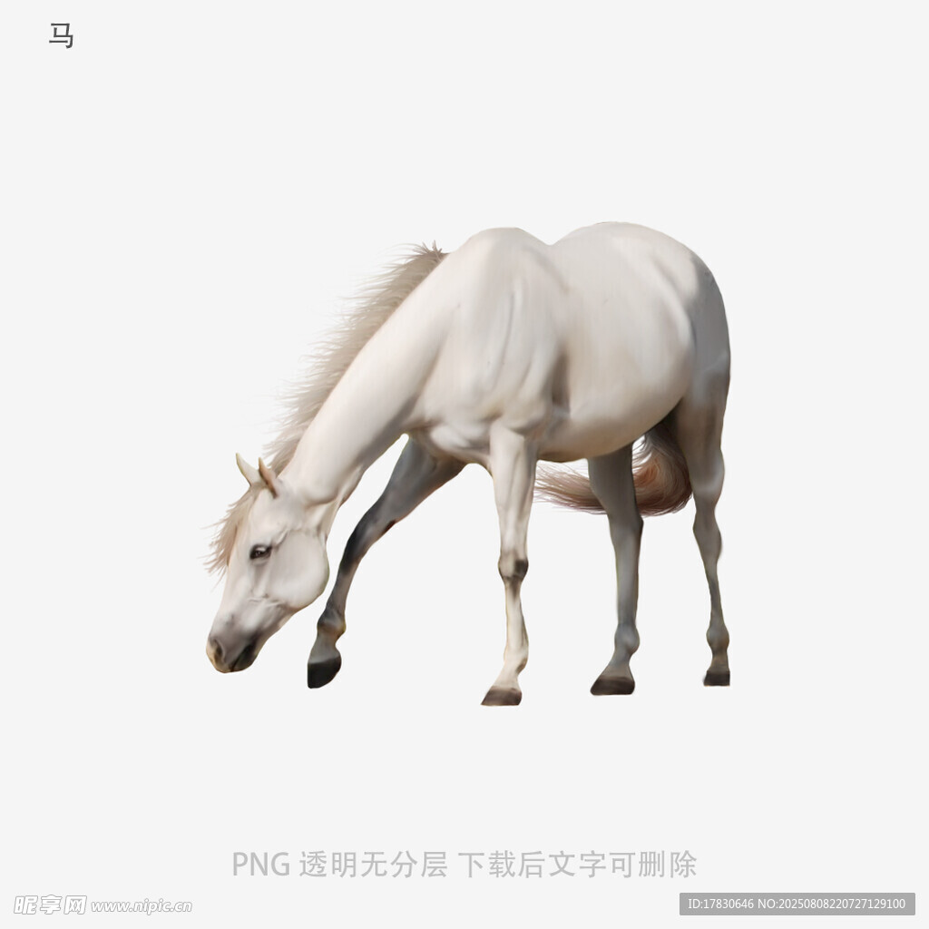马