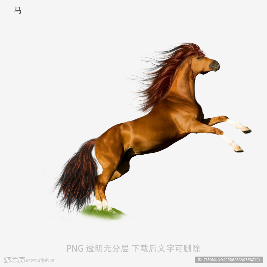 马