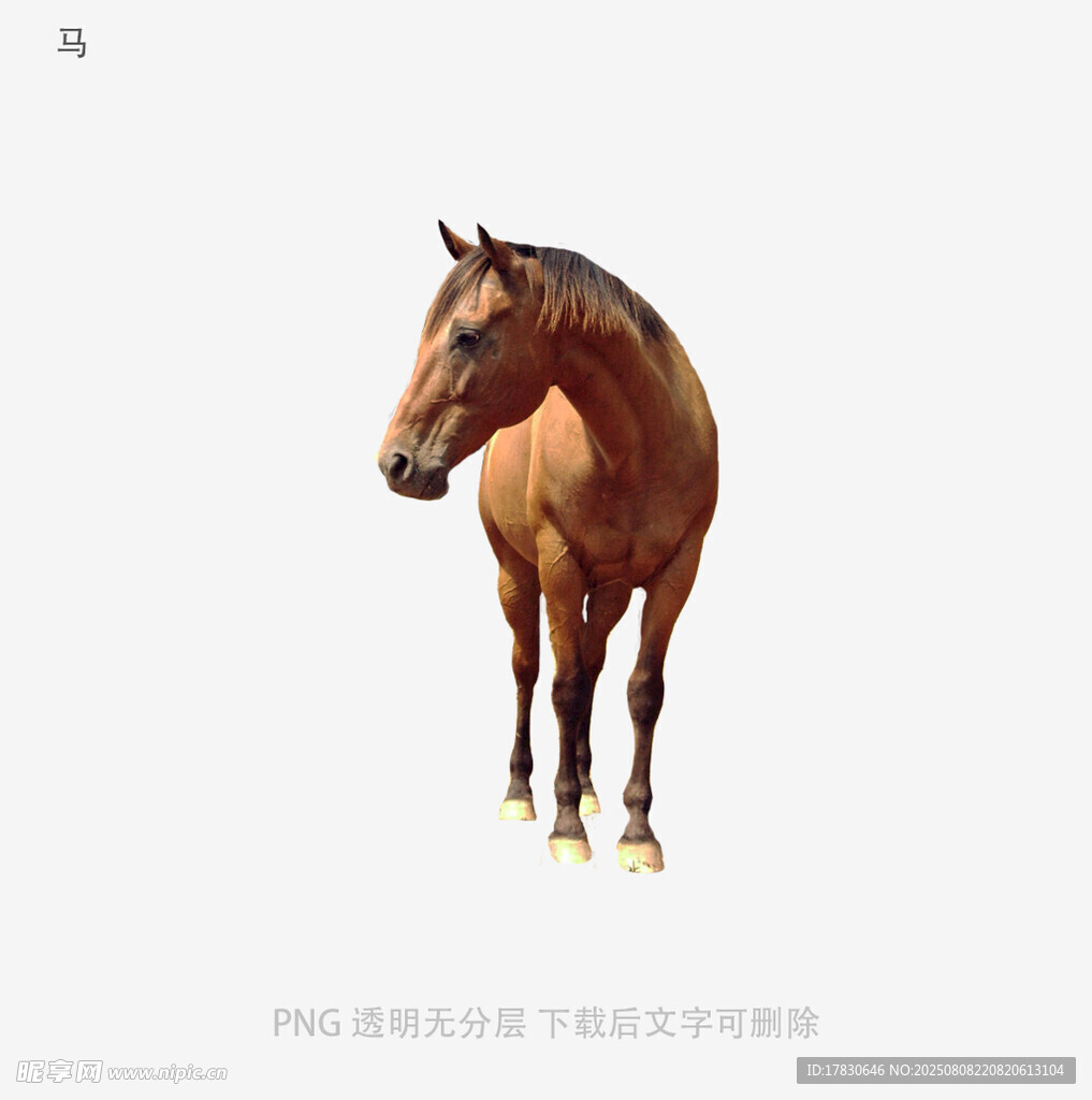 马