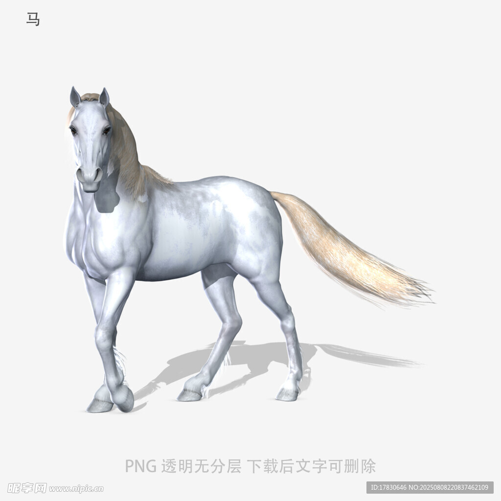 马
