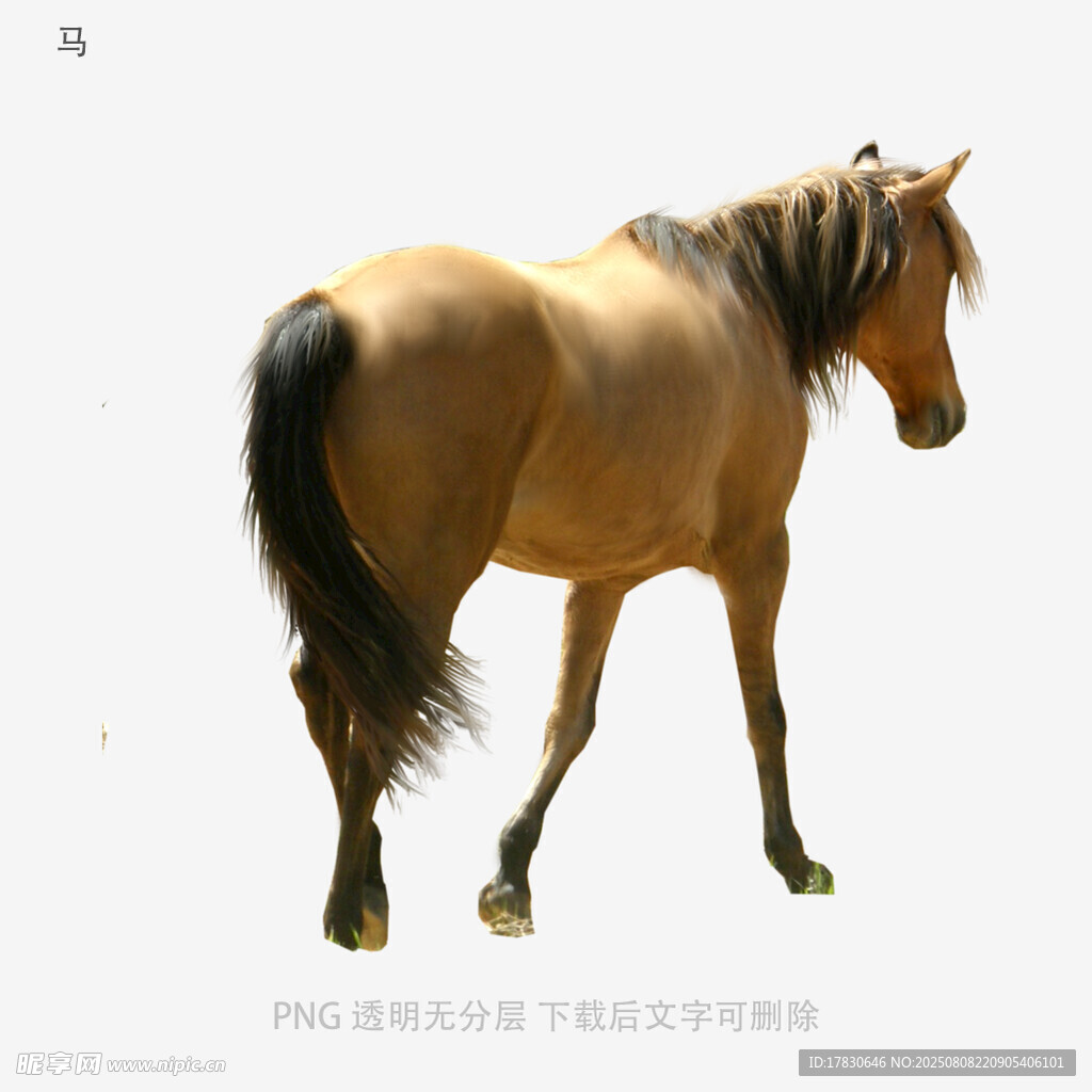 马