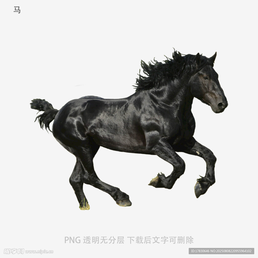 马