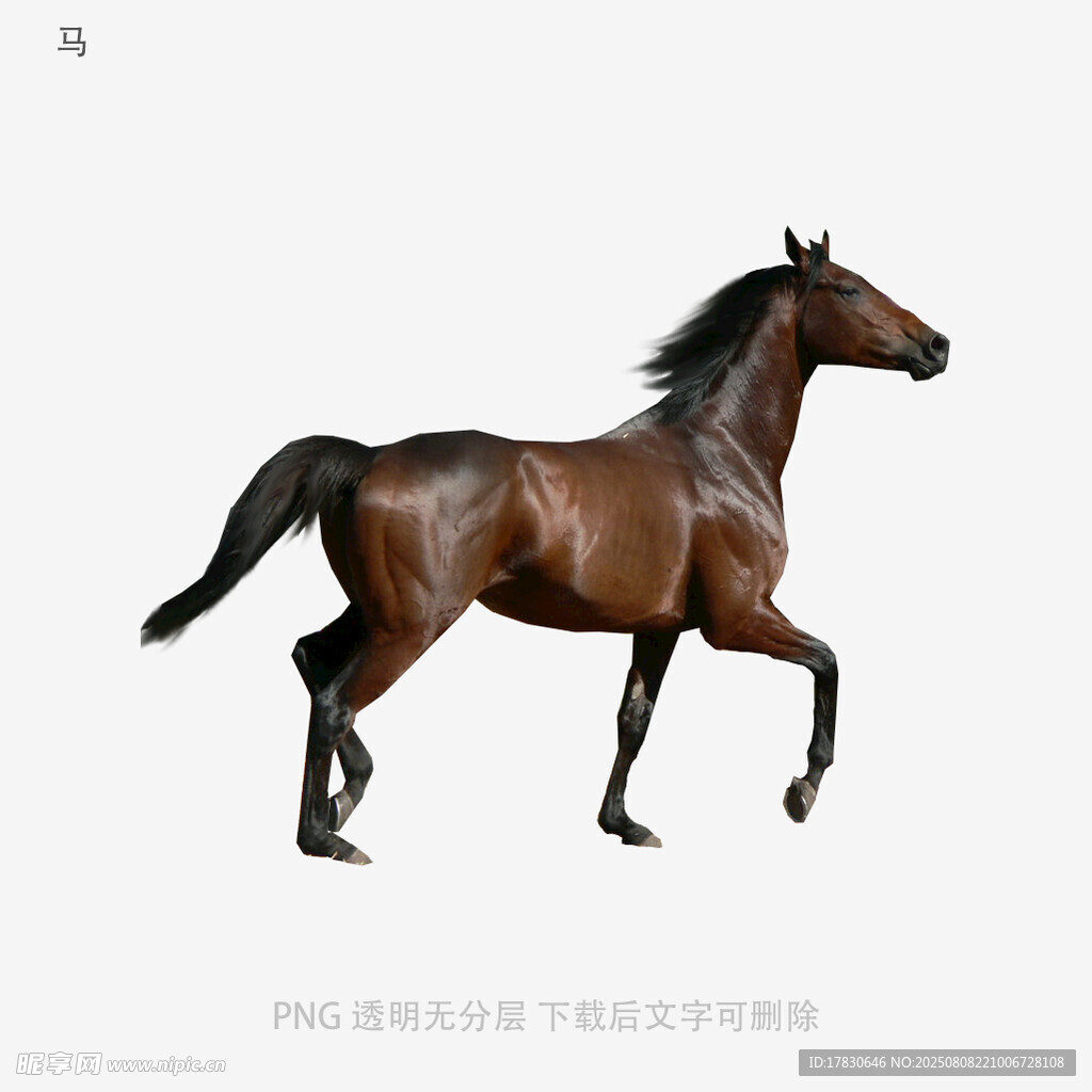 马