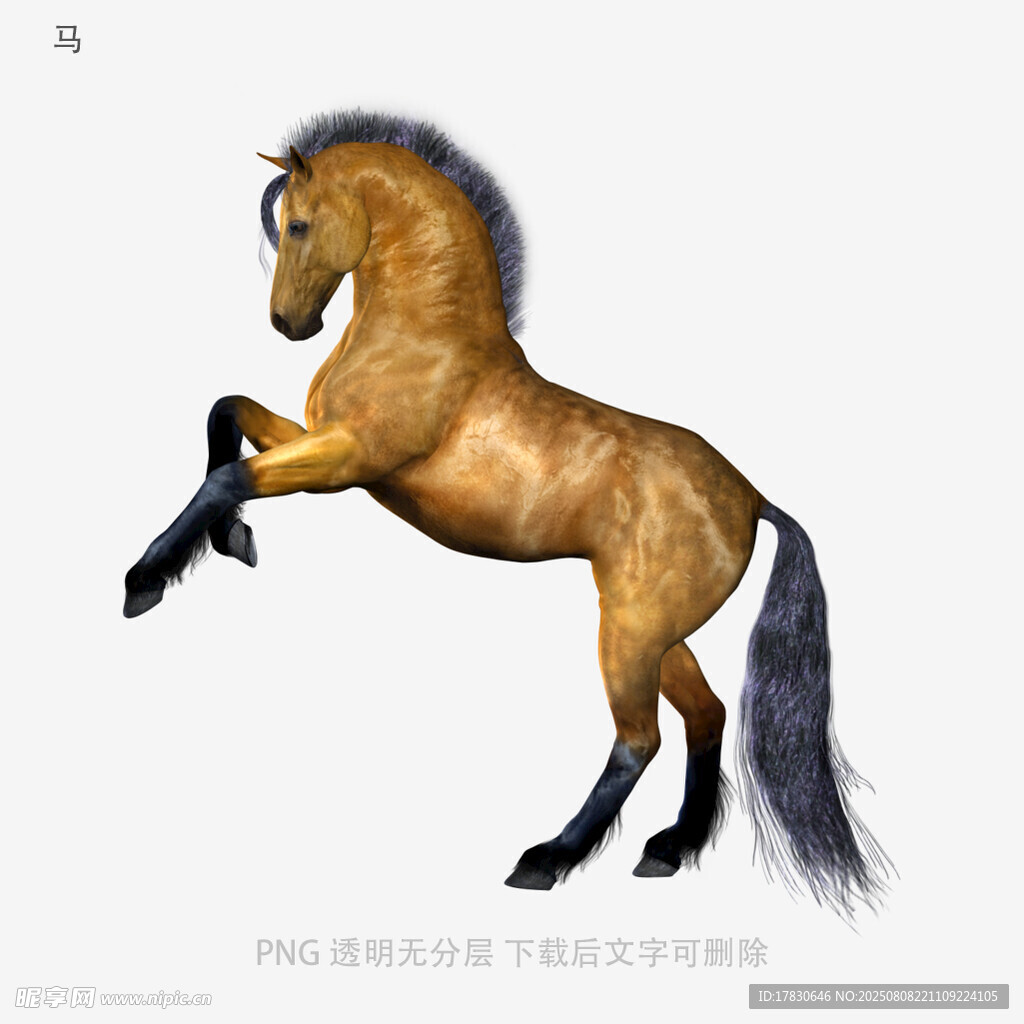 马